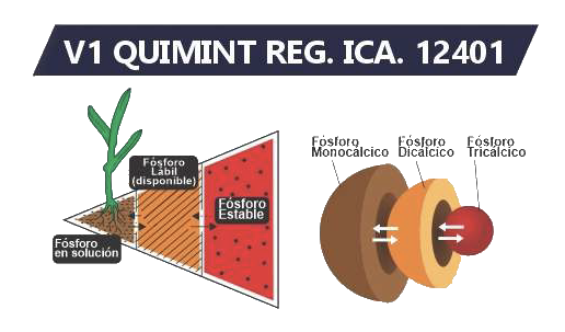 Fertilizante Quimint V1 2 gr Quimint